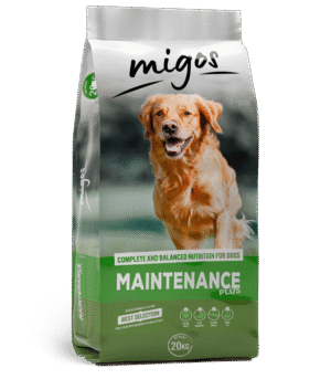 Migos Maintenance plus 20kg