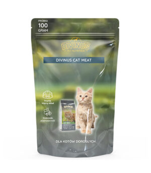 PRÓBKA Divinus Cat Meat 100g